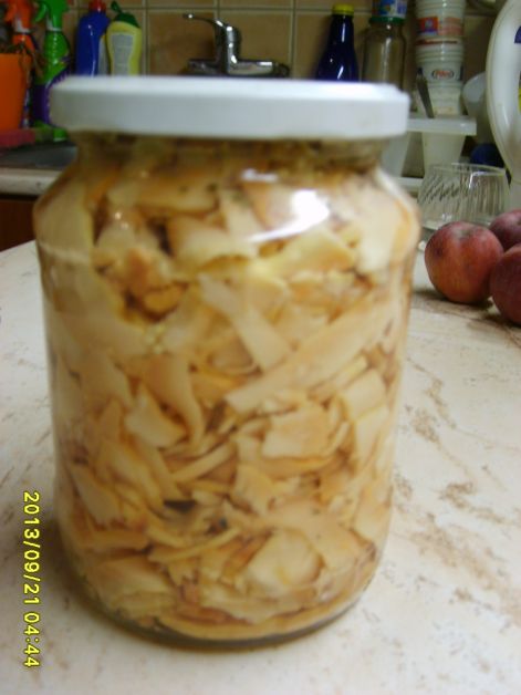 s6000770.jpg